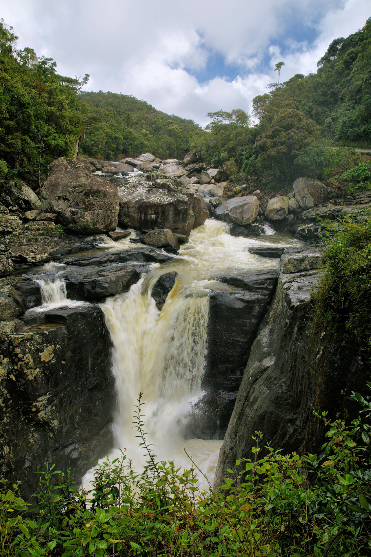 Ranomafana Nationalpark